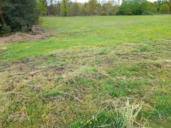 terrain à Boisseuil (87)