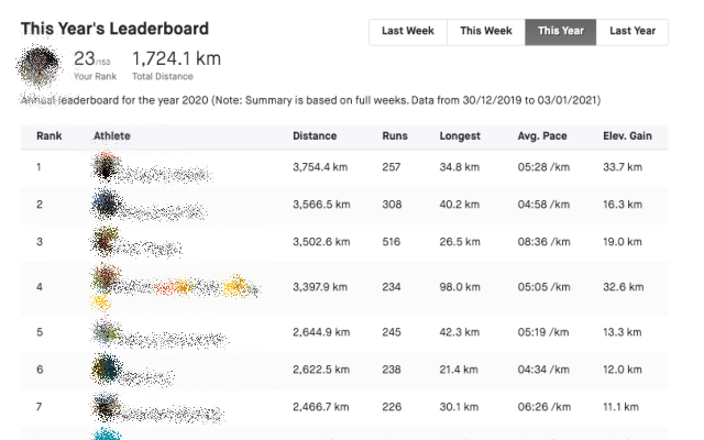 Strava Club Annual Leaderboard Preview image 0