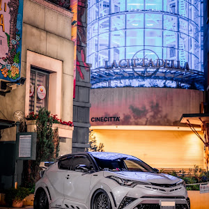 C-HR ZYX10