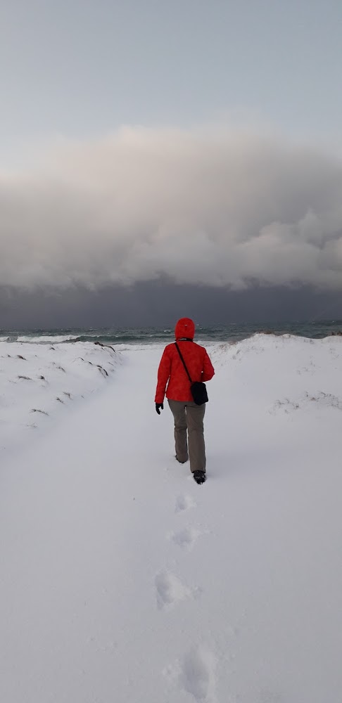 В погоне за снежными пейзажами (острова Lofoten в Новом 2020 году)