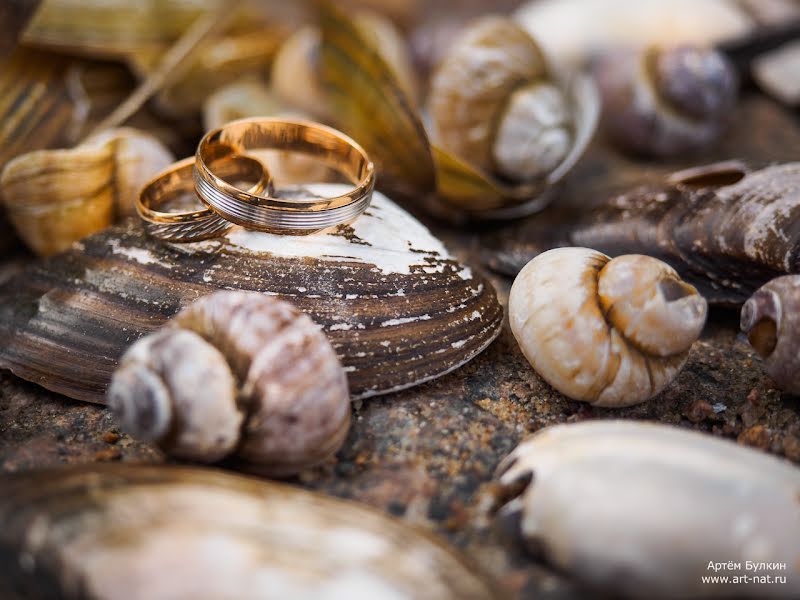 Fotografo di matrimoni Artem Bulkin (nat-art). Foto del 24 luglio 2014