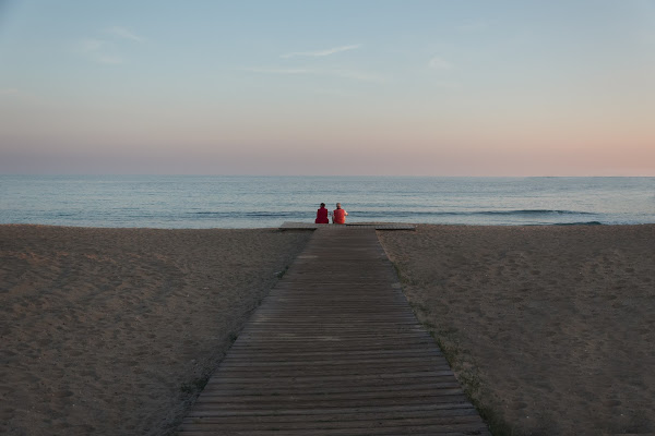 Never alone di Alessio Proto