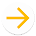 Vektor