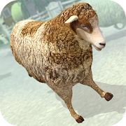 Sheep Racing Adventure Game 3D  Icon