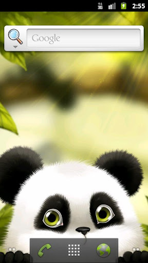 Download Panda Chub Live Wallpaper apk