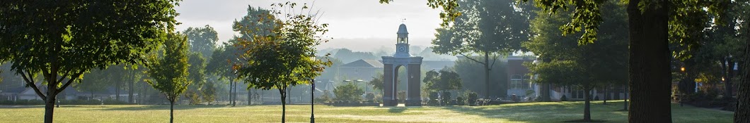 Lee University Banner