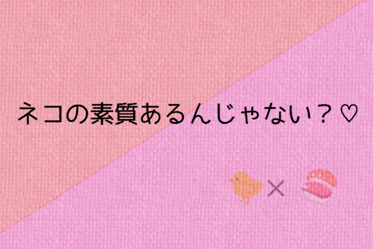 「ネコの素質あるんじゃない？♡」のメインビジュアル