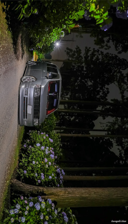 ステップワゴンの一眼レフ・梅雨入り・紫陽花・紫陽花コラボに関するカスタム事例の投稿画像1枚目