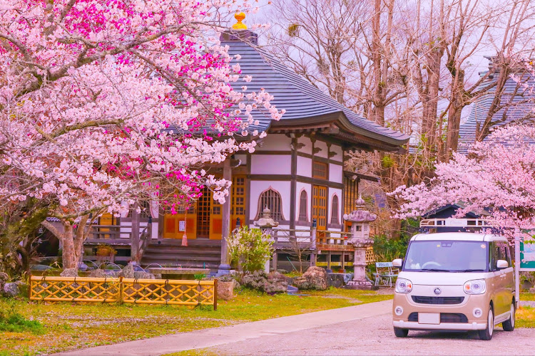 ムーヴキャンバスの桜とコラボ🌸・サクラと愛車・車と風景・ムーブキャンバス・ドライブに関するカスタム事例の投稿画像1枚目