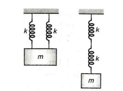 Spring-Mass System