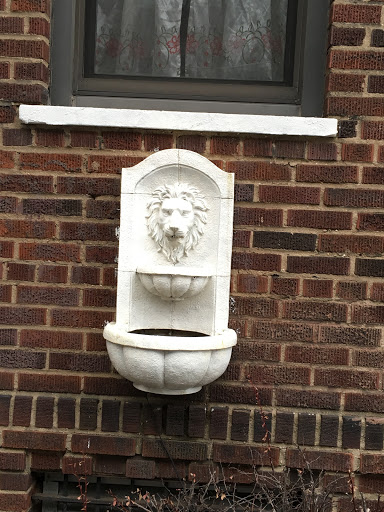 Lion Head