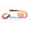 miniatures image - 20