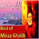 Download Mirza Ghalib Poetry in Urdu For PC Windows and Mac 1.2