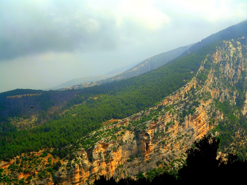 POR EL VALLE DE QADISHA (I): BCHARRE Y LOS CEDROS - POR LÍBANO COMO PEDRO POR EL PAÍS DEL CEDRO (1)