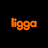 Ligga Telecom icon