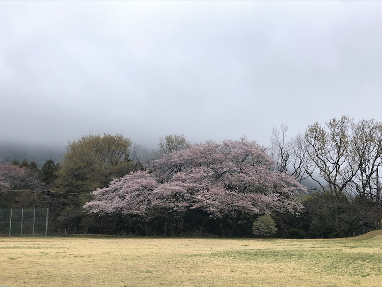 の投稿画像9枚目