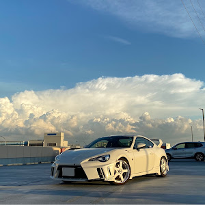86 ZN6
