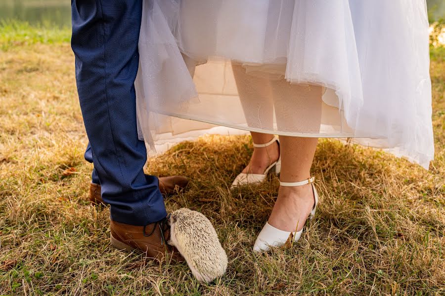 Fotógrafo de casamento Martin Nádasi (nadasimartin). Foto de 20 de novembro 2023