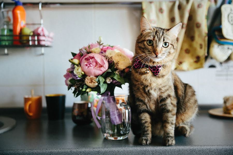 Wedding photographer Vasiliy Klimov (klimovphoto). Photo of 24 June 2017