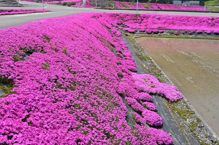 の投稿画像22枚目