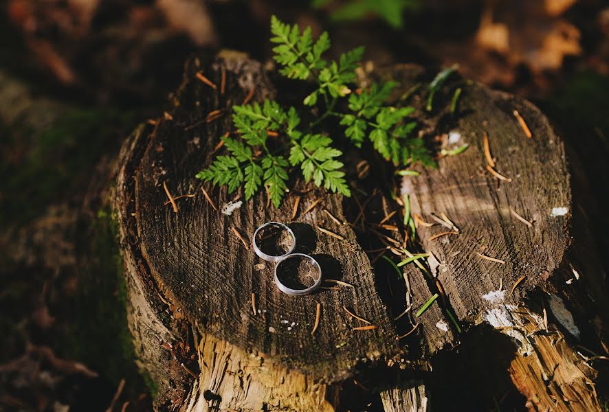 Fotógrafo de casamento Elena Andrasyuk (lenora). Foto de 4 de abril 2018