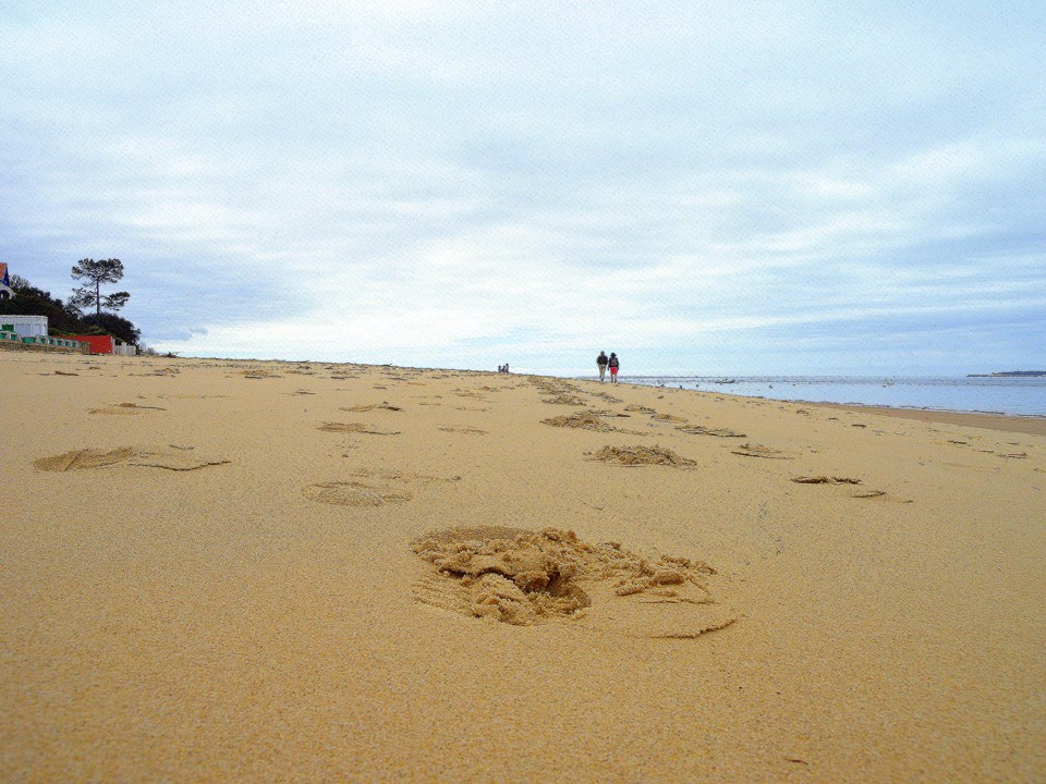 orme di Wilmanna