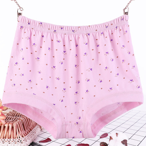 Title 3, Plus size womens briefs with high waist and tu...