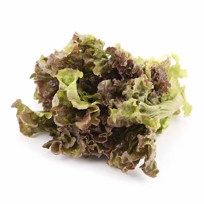 Lettuce Oakleaf Red 1 Kg