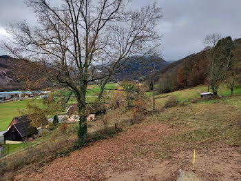 terrain à Muhlbach-sur-Munster (68)