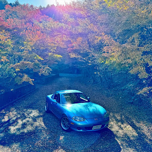 ロードスター NB8C