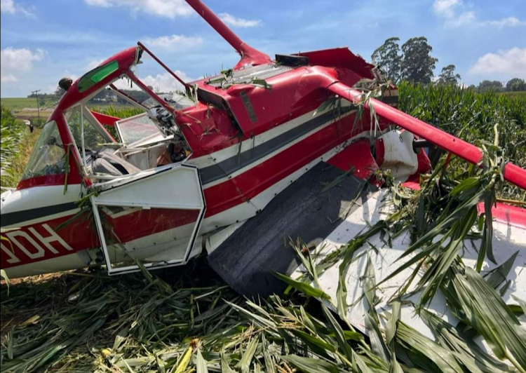 The wreckage of a light aircraft that crashed in a maize field near Howick on Tuesday.