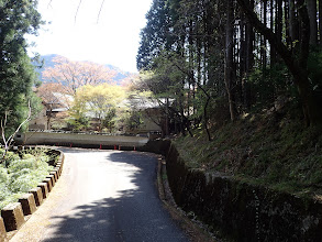 お寺の東側に出る