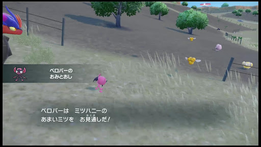 野生のポケモンが持っている