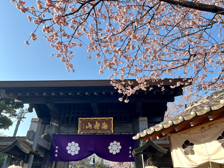 フェアレディZの神対応・キリ番・桜・春ですねに関するカスタム事例の投稿画像5枚目
