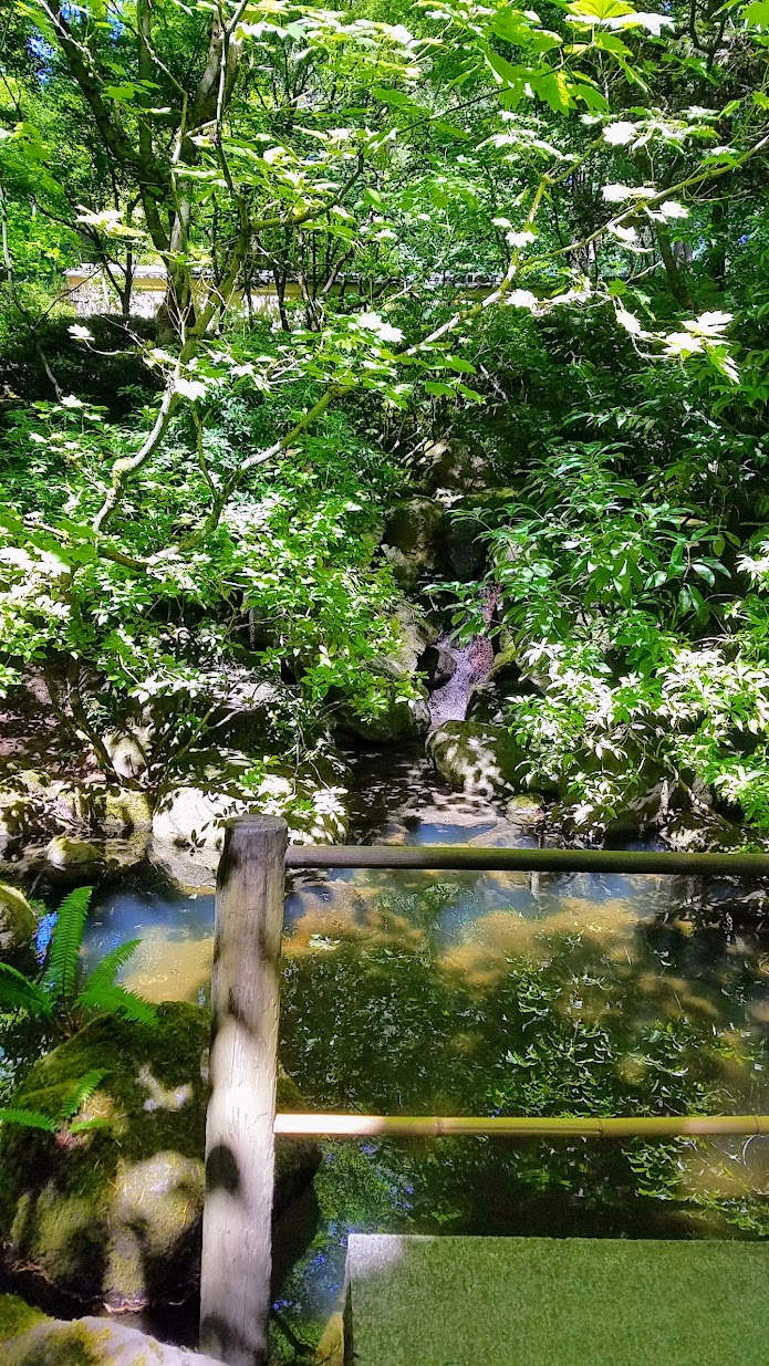 Visiting the Portland Japanese Garden