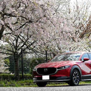 CX-30 DM8P