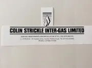 Intergas  Logo