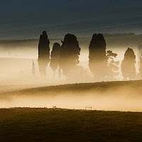 Nebbia dorata di 