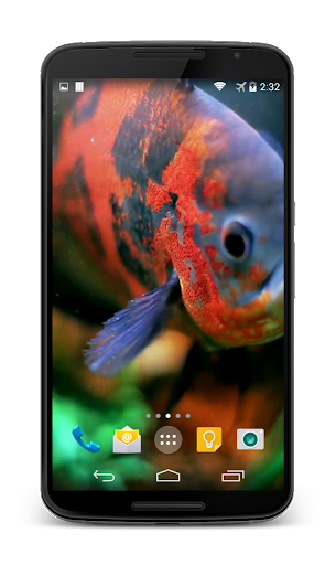 Screenshot Aquarium Video Live Wallpaper