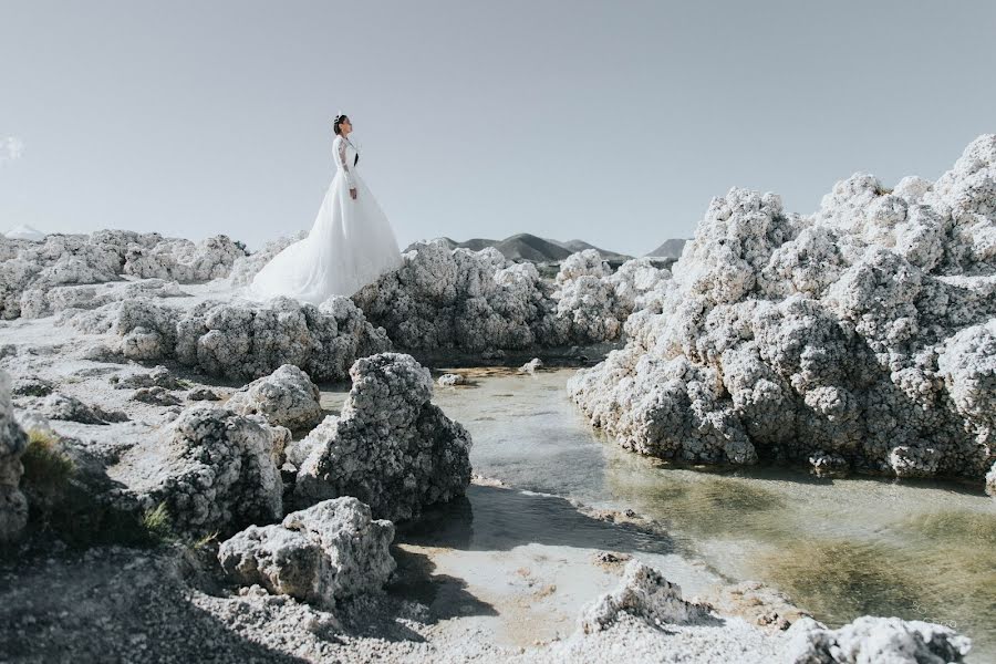 Fotógrafo de bodas Shelton Garza (shelton). Foto del 14 de noviembre 2019