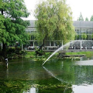 菁芳園 Tenway Garden／花園餐廳／落羽松