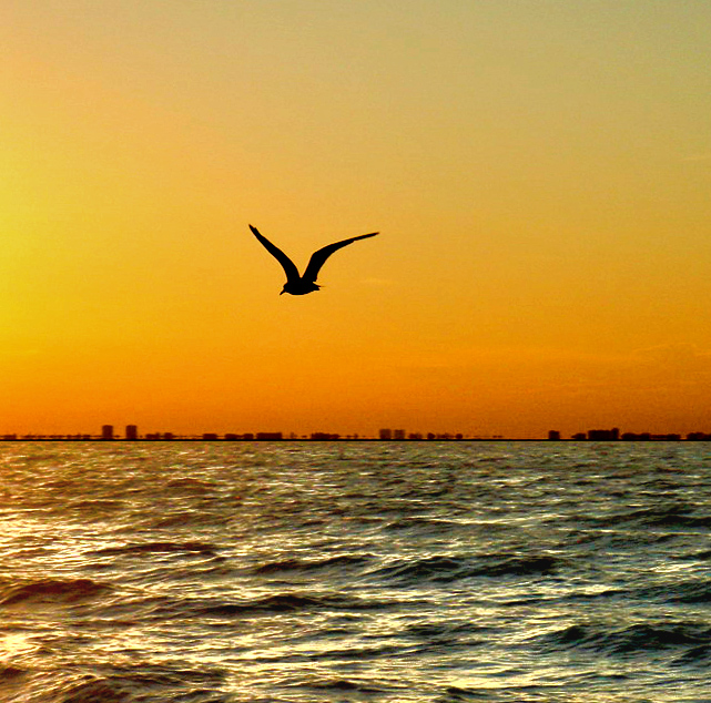 Sanibel Island di nerina