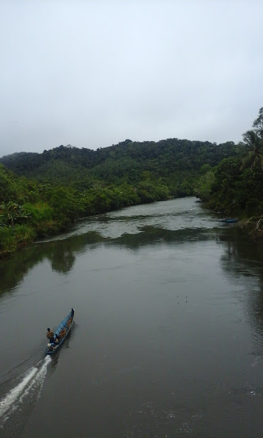 Seorang pemburu bersama anjing-anjingnya beranjak menuju hutan di hilir sungai untuk memburu babi dan payau. (Foto: Yudha PS)