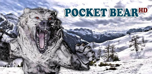 Pocket Bear 3D