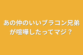 あの仲のいいブラコン兄弟が喧嘩したってマジ？