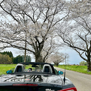 124スパイダー NF2EK