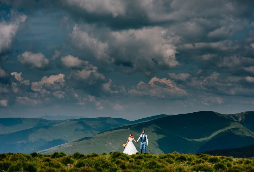 Fotógrafo de casamento Pavel Gomzyakov (pavelgo). Foto de 12 de dezembro 2016