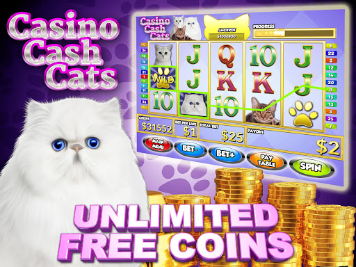 Casino Cash Cats Kitty Slots