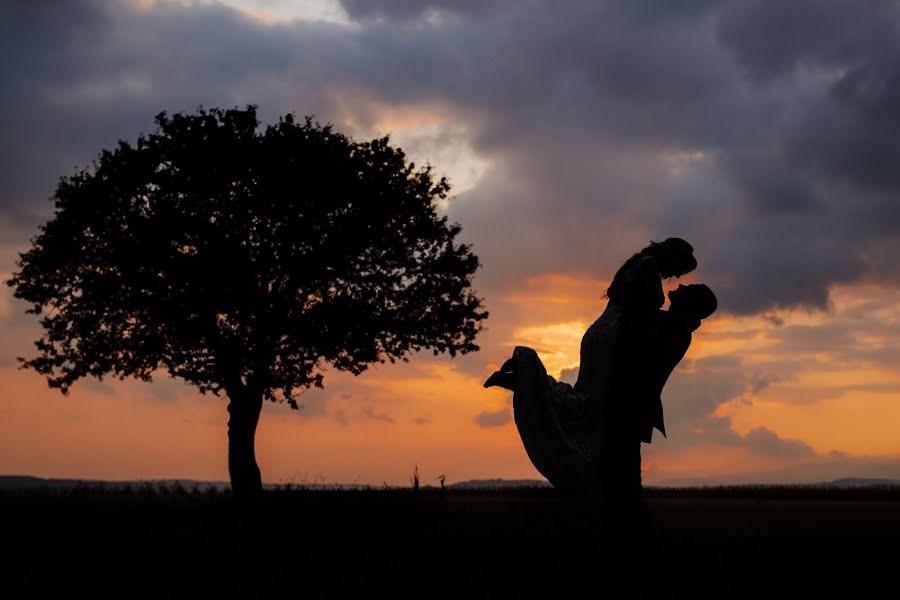 Fotografo di matrimoni Ninoslav Stojanovic (ninoslav). Foto del 5 ottobre 2018