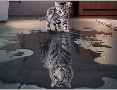 Title 3, Diamond Painting Baby-Tiger kit, create sparkli...